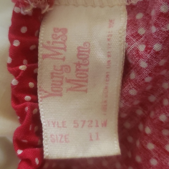 Vintage 70s Young Miss Morton Prairie Folk Peasant Cottage Grandma Maxi Dress - Picture 3 of 8